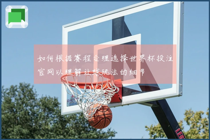 如何根据赛程合理选择世界杯投注官网以理解让球玩法的细节