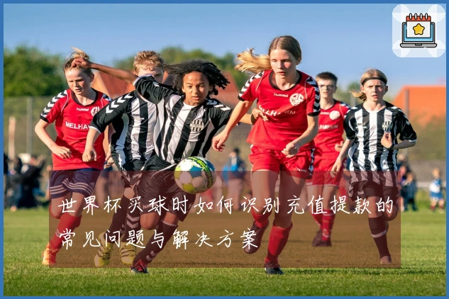 世界杯买球时如何识别充值提款的常见问题与解决方案