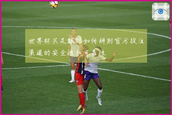 世界杯买足球时如何辨别官方投注渠道的安全性和可靠性