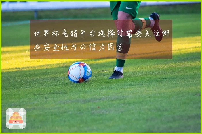 世界杯竞猜平台选择时需要关注哪些安全性与公信力因素