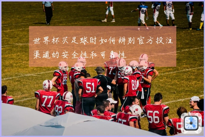 世界杯买足球时如何辨别官方投注渠道的安全性和可靠性